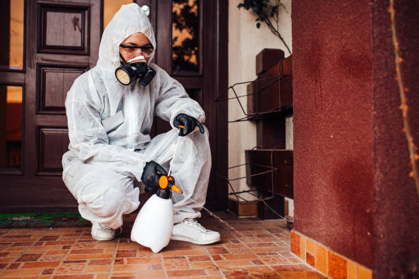 Reliable Bed Bug Control contractor in Sandy Springs, SC by Nex Pest Control