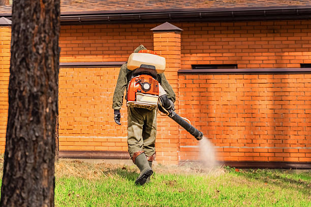 Trusted Rodent Control service in Sandy Springs, SC - Nex Pest Control